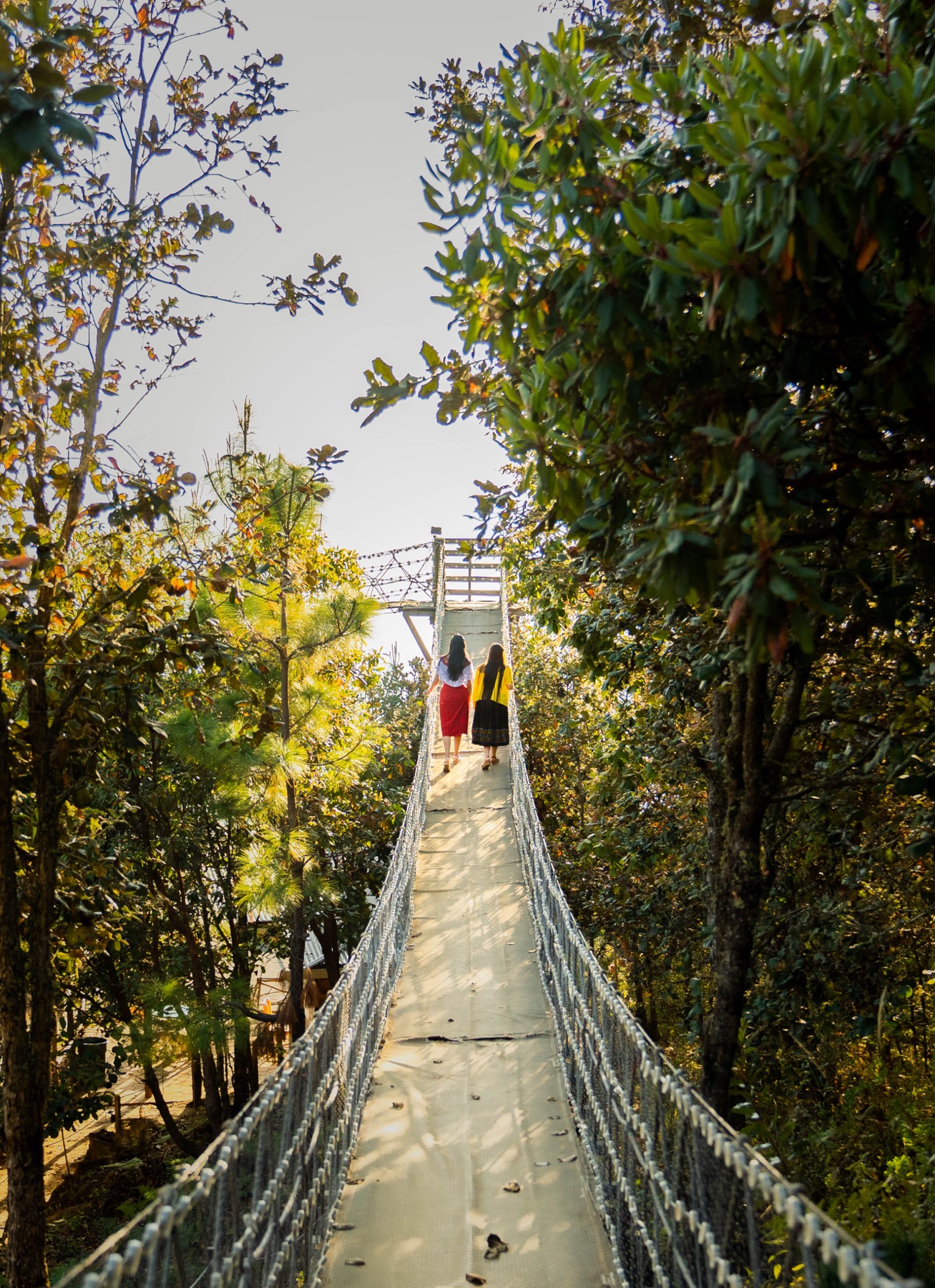 Puente colgante entre los árboles de Xwan